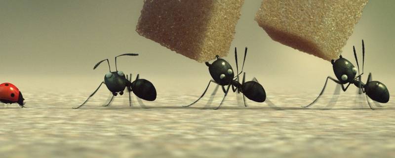 蚊香能杀死蚂蚁吗 电蚊香能杀死蚂蚁吗