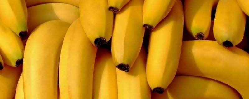 香蕉外面软中间是硬的能吃吗 香蕉中间硬硬的能吃吗