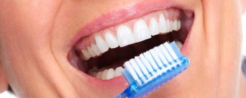 牙齿的用处和怎么保护 保护牙齿作用