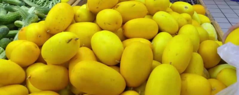 黄色的水果有哪些东西 黄色的水果有哪些东西像西瓜