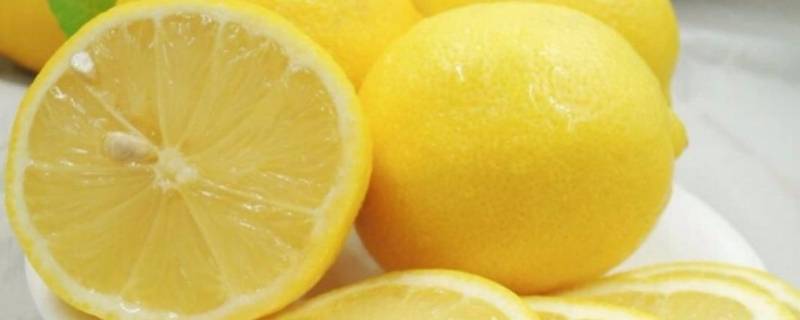 柠檬片和鲜柠檬的区别（柠檬片和新鲜柠檬）