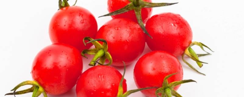 小番茄怎么保存时间长一点 小番茄怎么储存的长一点时间