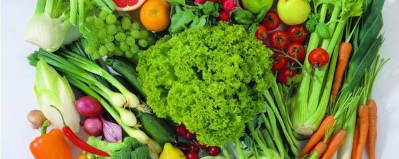 什么是粗纤维的蔬菜和食物（哪些蔬菜属于粗纤维食物）