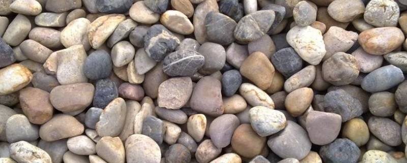鹅卵石是什么岩石（鹅卵石是什么岩石的一种）