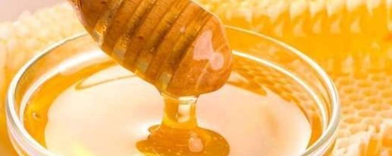 纯正蜂蜜怎么辨别（纯蜂蜜的辨别方法）