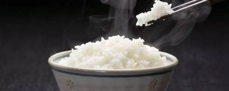 米水比例（煮粥米水比例）