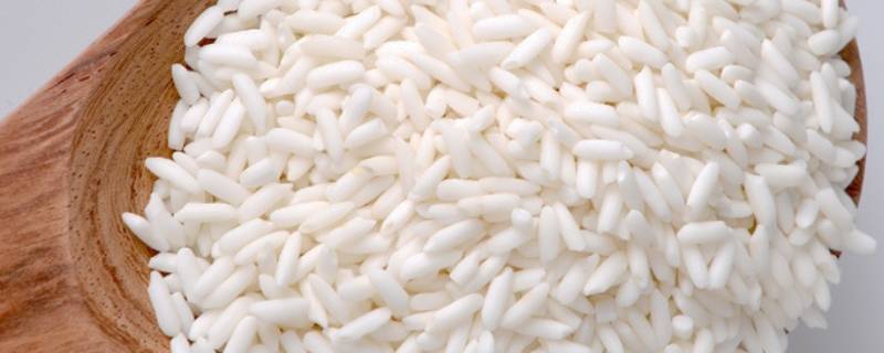 灿米是啥米（灿米是啥米是转基因吗）