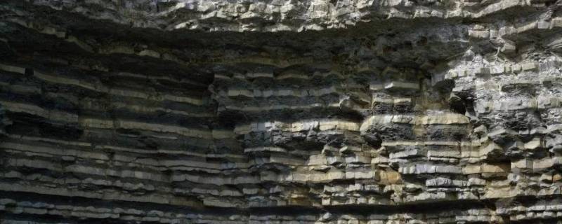 泥岩是什么岩 泥岩是什么岩层