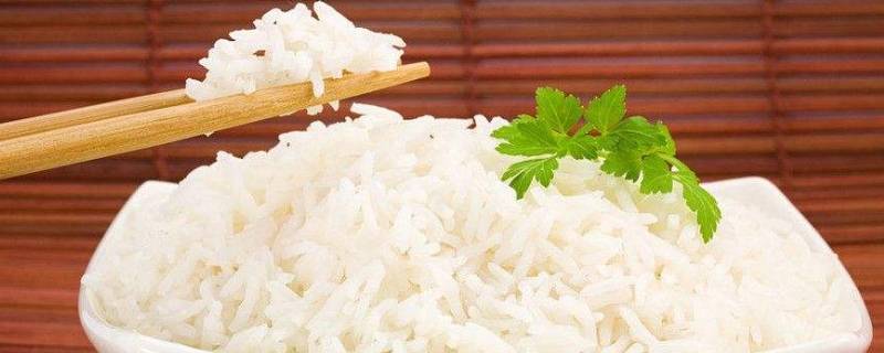 蒸米饭的比例是多少 蒸饭的话,米和饭比例是多少