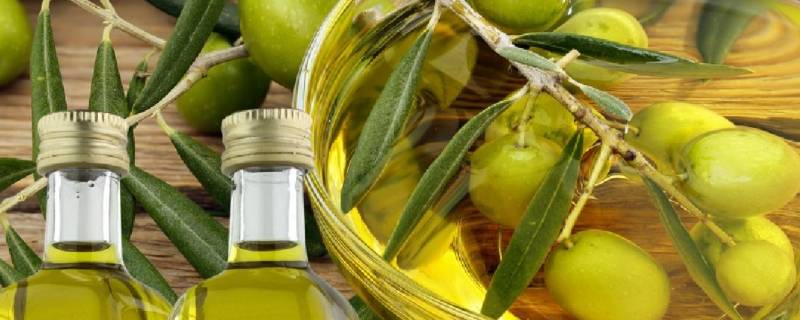 橄榄油怎么选 减肥橄榄油怎么选
