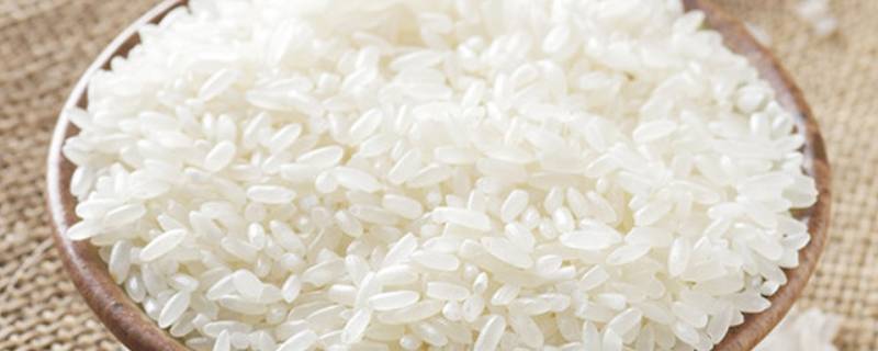 软米是什么米 软米是什么米图片