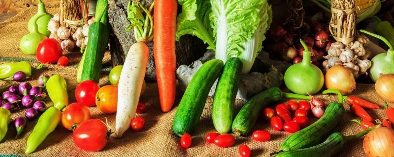 夏季时令蔬菜都有哪些 夏季时令蔬菜都有哪些可以种植