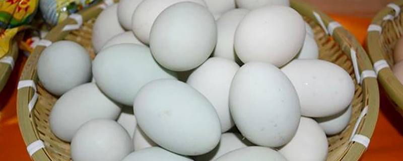 鸭蛋能放多久 生咸鸭蛋能放多久
