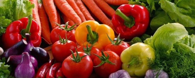 含钙量高的蔬菜有哪些 请问含钙量很高的蔬菜有哪些