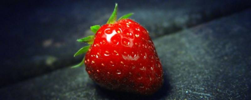 草莓的生长习性（草莓的生长条件是什么）