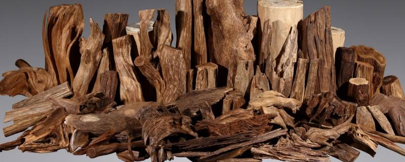 沉香是什么木材形成的（沉香是木材吗）