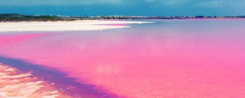 人工粉色沙滩是怎么形成的（人工粉色沙滩的沙是什么沙）