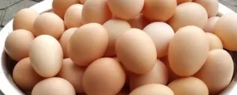夏天4种方法保存鸡蛋（鸡蛋夏天怎么保存）