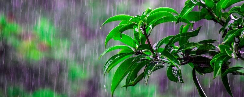 杭州梅雨季节是几月份到几月份结束（杭州梅雨季节是几月份到几月份结束的）