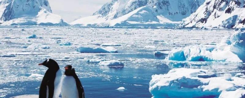 南极可能会遇到的危险有哪些（在南极洲会遇到什么危险）