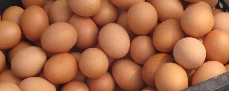 土鸡蛋外壳脏怎样清洗 土鸡蛋外面脏不要洗