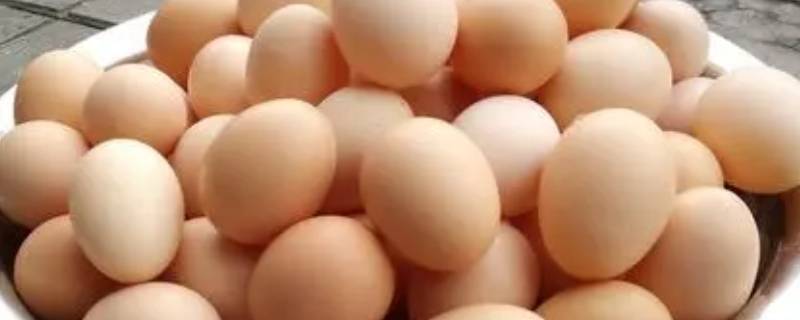 熟鸡蛋能放多久 一个熟鸡蛋能放多久