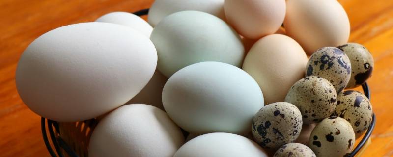 一个鸡蛋有多重 一个鸡蛋有多重是什么生肖