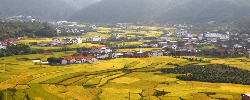 蕉岭县景点 蕉岭县旅游