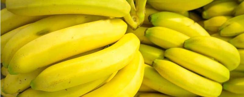 香蕉能不能放袋子里捂 香蕉能不能捂着