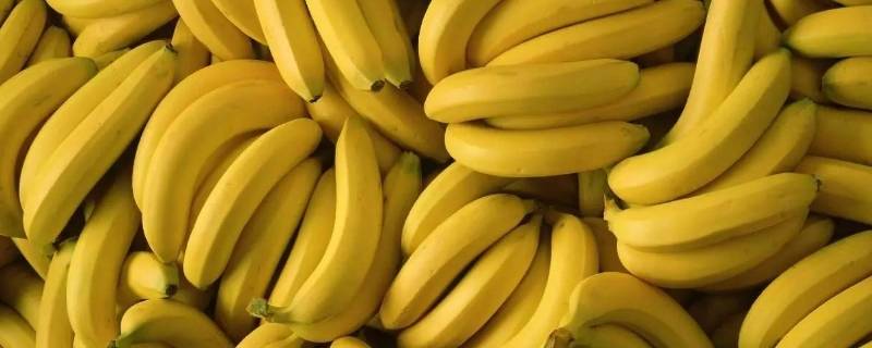 香蕉保存一个月的方法 香蕉保存时间长方法