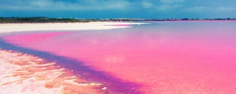 粉色沙滩是怎么形成的 粉色沙滩形成的原因