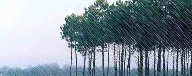 下雨前自然界有哪些现象（下雨前的自然现象）