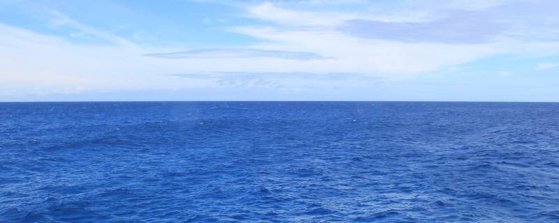 太平洋的正中间是什么 太平洋的正中间是什么平字打一生肖