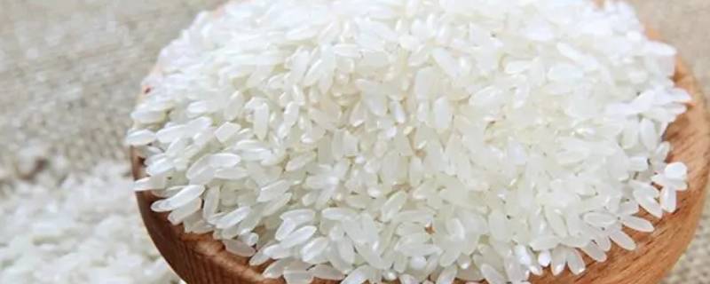 洗好的米不煮怎么保存 生米洗了没煮怎么保存
