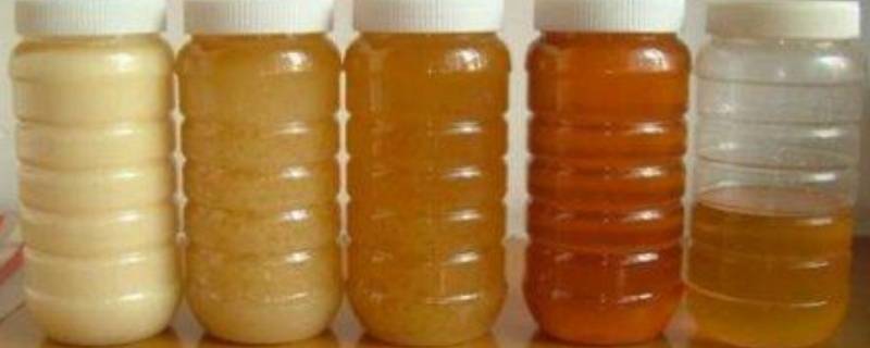 蜂蜜应该怎样保存 蜂蜜如何保存