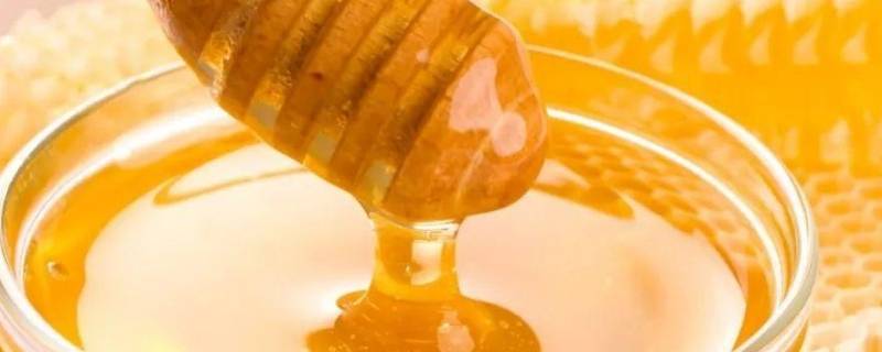 土蜂蜜为什么有股怪味 土蜂蜜气味有点臭