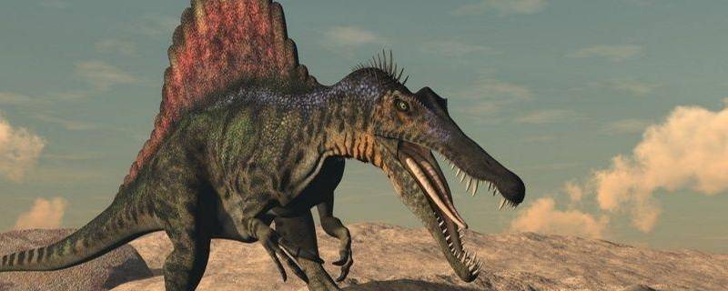 棘龙吃什么 侏罗纪世界进化中棘龙吃什么