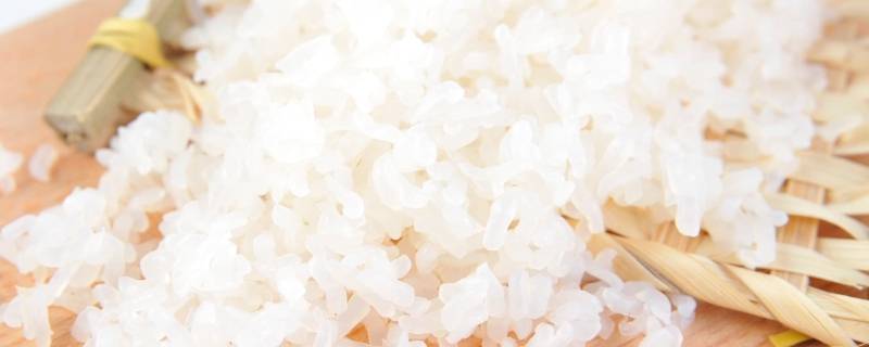 魔芋米可以长期代替米饭吗 芋头能代替米饭吗