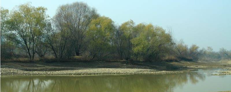灞河源头在哪 灞河源头在哪后流入哪