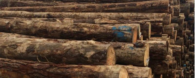 木头防腐处理的方法（木材防腐处理方法）