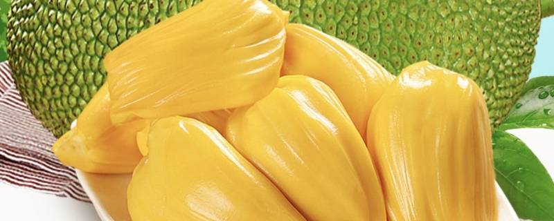 剥菠萝蜜手上黏黏的怎么去除 剥完菠萝蜜手上黏黏的怎么洗掉