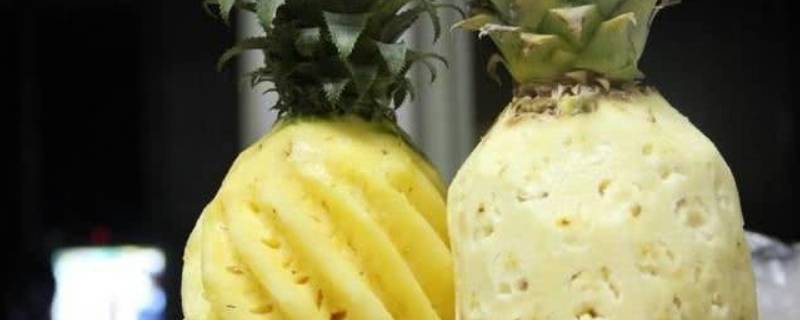 凤梨和菠萝怎么区分 凤梨和菠萝怎么区分?