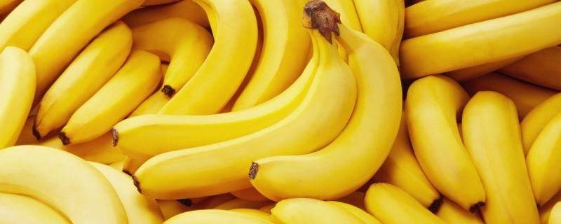 进口香蕉和国产香蕉区别 进口香蕉和国产香蕉的区别