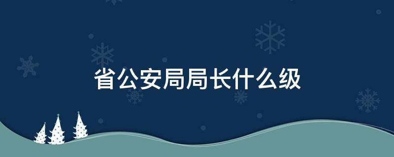 省公安局局长什么级（省公安厅长是什么级和公安局局长）