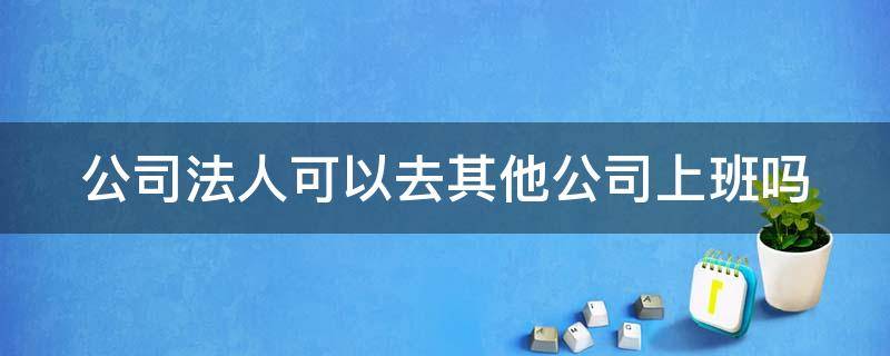 公司法人可以去其他公司上班吗（公司法人可以去其他公司上班吗知乎）