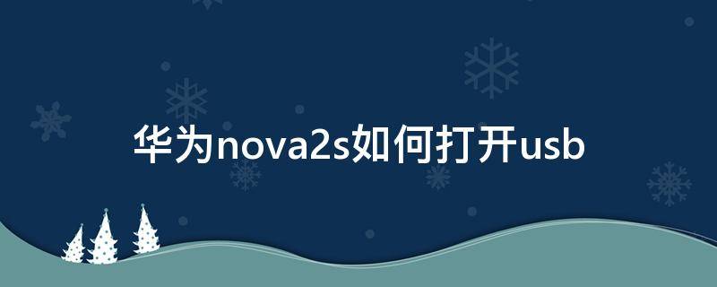 华为nova2s如何打开usb（华为nova2s如何打开开发者选项）