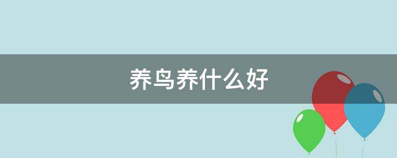 养鸟养什么好 养什么鸟最好养