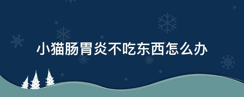 小猫肠胃炎不吃东西怎么办 猫猫肠胃炎不吃东西