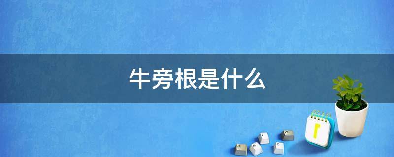 牛旁根是什么（牛蒡根是什么样子）