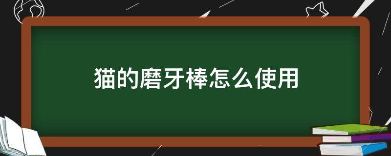 猫的磨牙棒怎么使用 磨牙棒猫咪怎么用